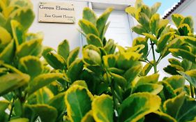 Green Element Guesthouse